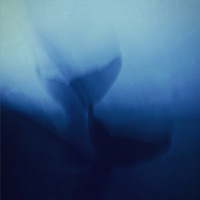 Эхо - Single - WHOLE WAVE