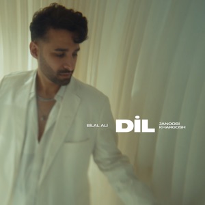 Dil