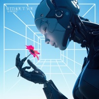 Without You - Single - Shweez