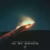 In My Bones (feat. SBSTN) artwork