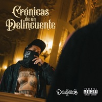 Crónicas de un Delincuente - Delincuentes MX