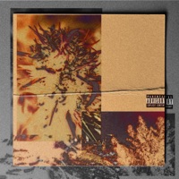 AMBERTRICH - Single - Colin