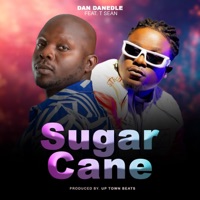 Sugarcane (feat. T-Sean) - Single - Dan Danedle