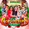 Soñare