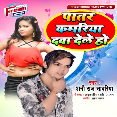 Patar Kamariya Daba Dele Ho - Single