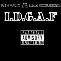 I.D.G.A.F (feat. 830_smokeyhd) - Single - LILTANk