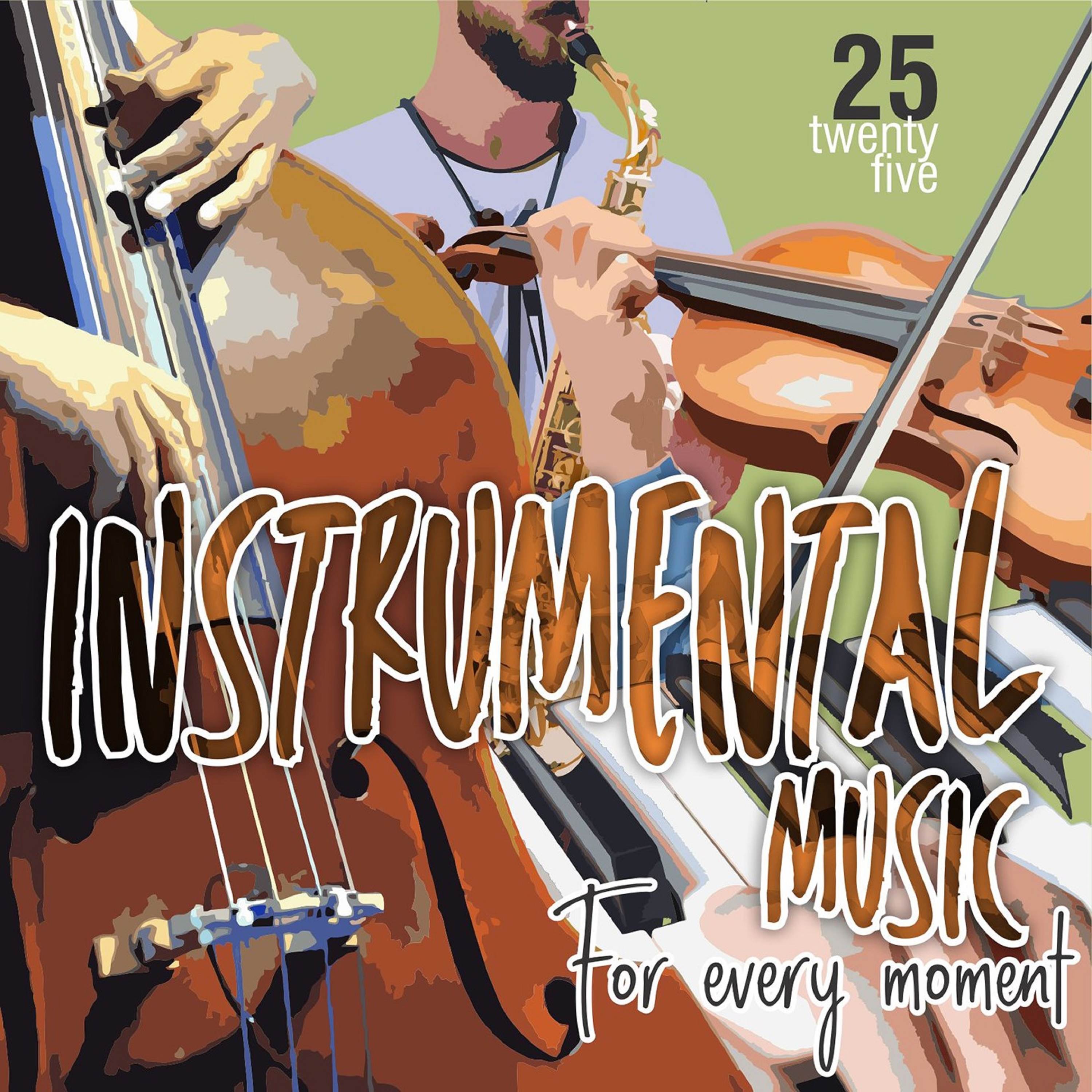 Instrumental Music For Every Moment Vol. 25