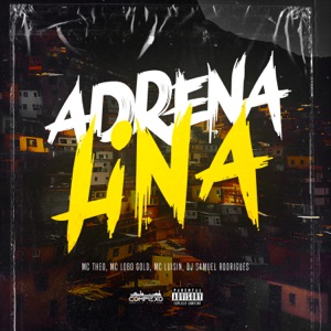 Adrenalina (feat. MC Luizin)