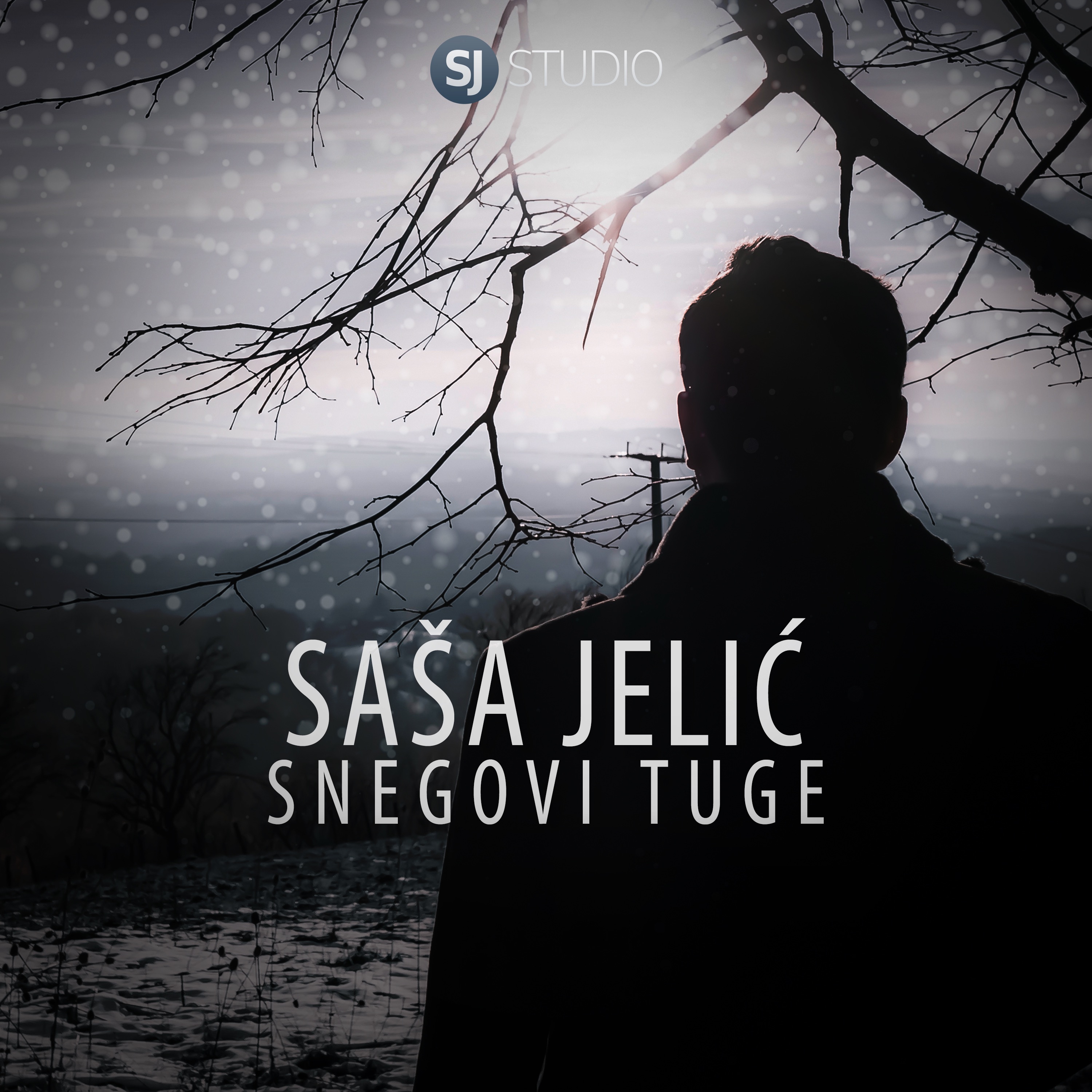 Snegovi tuge - Single