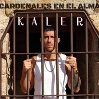 Lo siento cariño - Single - KALER & 808cesu