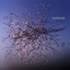 Neural Stillness
