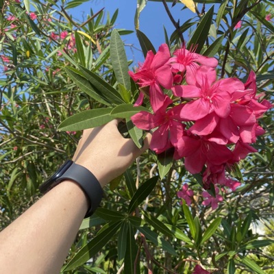 spoletilbage. - Single