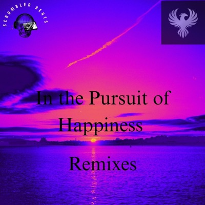 In the Pursuit of Happiness Remixes - Single