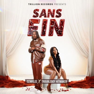 Sans Fin (feat. Troubleboy Hitmaker) - Single