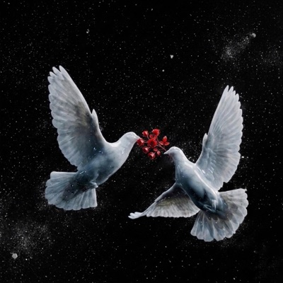 Zindagi - Single