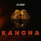 Kangna artwork