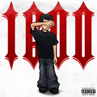 1600 - Single - Dark4z!