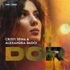 Dor (Radio Edit) - Cristi Sena & Alexandra Badoi