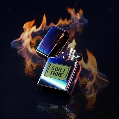 SON 1 TANE (feat. PAN, Don Revo, NOY & FatBeat) - Single