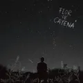 Flor de cayena