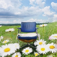 Daisies - Single - DCAY