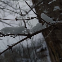 shake (feat. hiraeth) - Single - evergarden