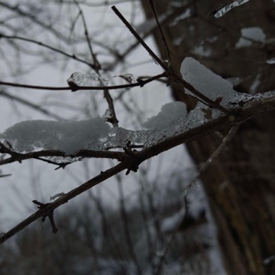 shake (feat. hiraeth) - Single