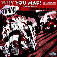 WHY YOU MAD - Single - Waylin Flaza