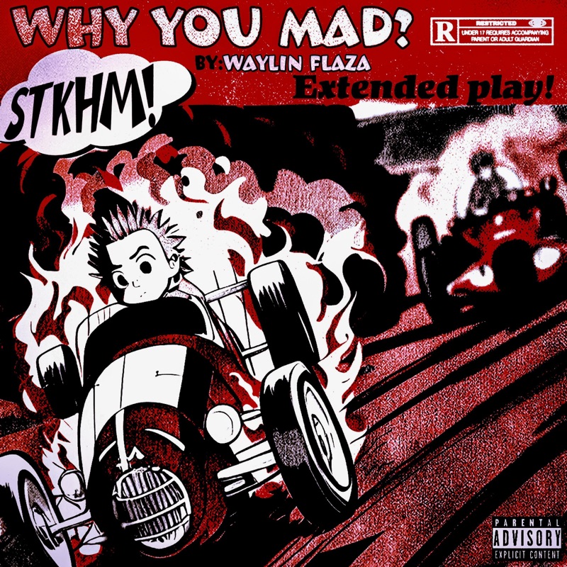 WHY YOU MAD - Single