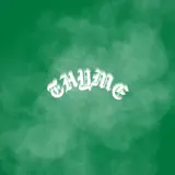 Wavvy - Thyme