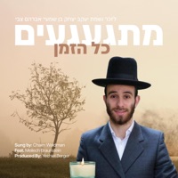 Misgagim Kol Hazman (feat. Meilech Braunstein) - Single - Chaim Waldman