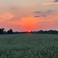 One More Sunset - Single - Elk Beats