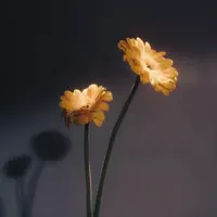 So Easy — ROMANTIK.