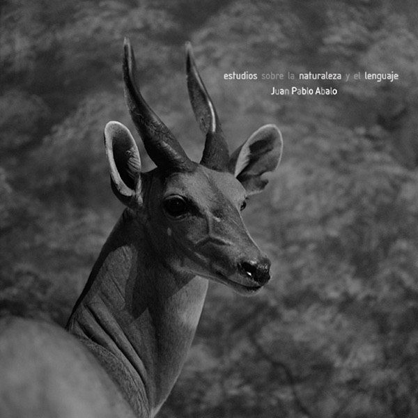 estudios sobre la naturaleza y el lenguaje, Vol. 1 - Single