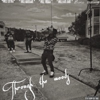 Through the woods - Single - Savage Lil Reko