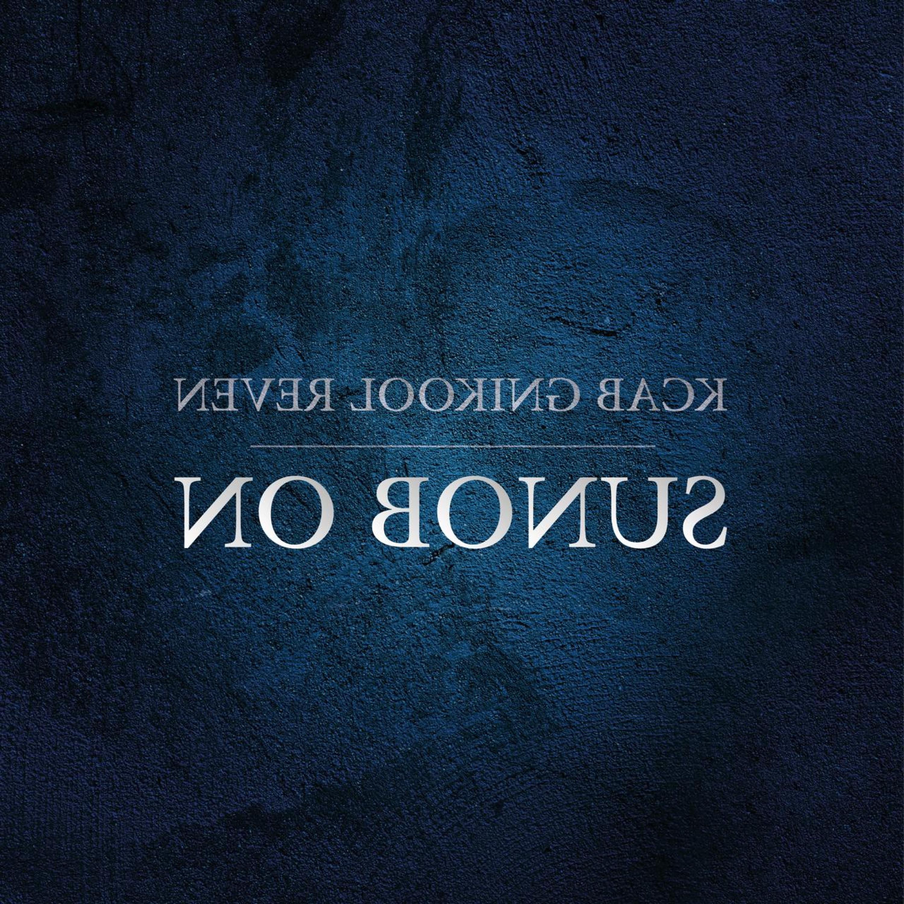 Never Looking Back - Single