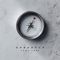 Ориентир - Single - Леша Свик