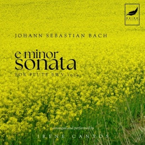 J. S. Bach: Flute Sonata in E Minor, BWV 1034 - EP