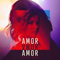 Amor, Amor, Amor - Single - Destiny Marko