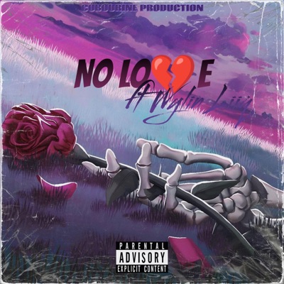 NO LOVE (feat. Wylin Liiq) - Single