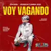 Voy vagando