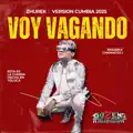 Voy vagando