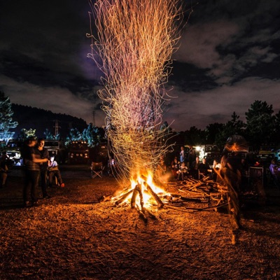 It's Goin' Down (feat. Tonethebone) - Single