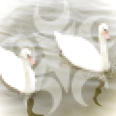 slut (feat. Woody) - Single