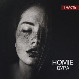 Фонари HOMIE