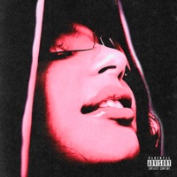 Dan$E (Cover) - Single - elek