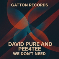 We Don't Need - Single - David Pure & PEE4TEE