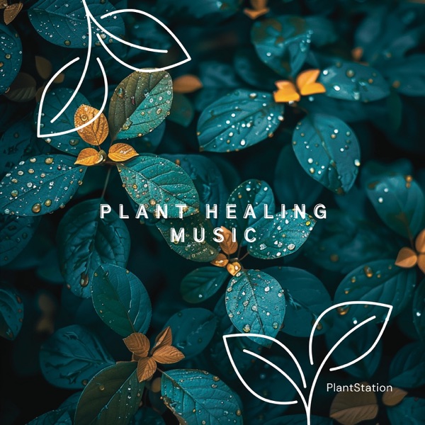 432 Hz Plant Healing Music - EP