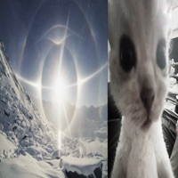 Дурень - Single - MELERY