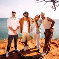 Jóia Rara - Single - Ary Rafeiro, Aragão, Brada & Betinho